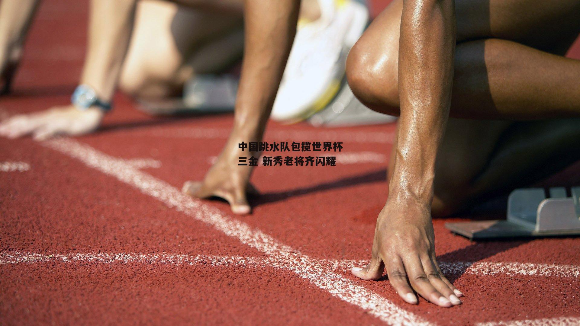 中国跳水队包揽世界杯三金 新秀老将齐闪耀